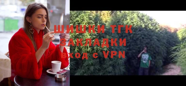 соль ск Алзамай