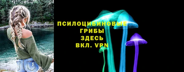 соль ск Алзамай