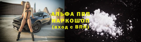 соль ск Алзамай