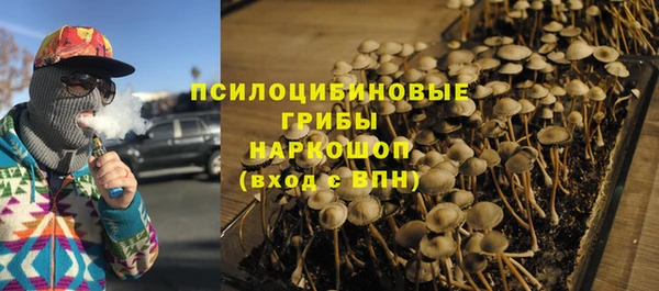 спайс Алексеевка