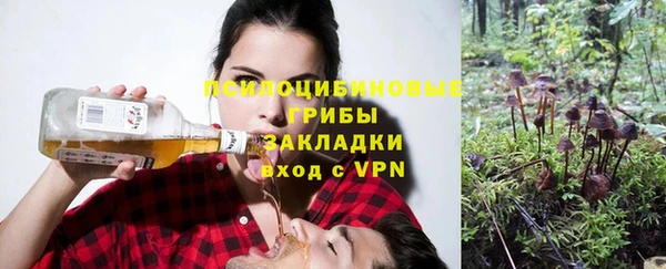 соль ск Алзамай
