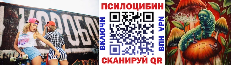 сколько стоит  Соликамск  Галлюциногенные грибы MAGIC MUSHROOMS 